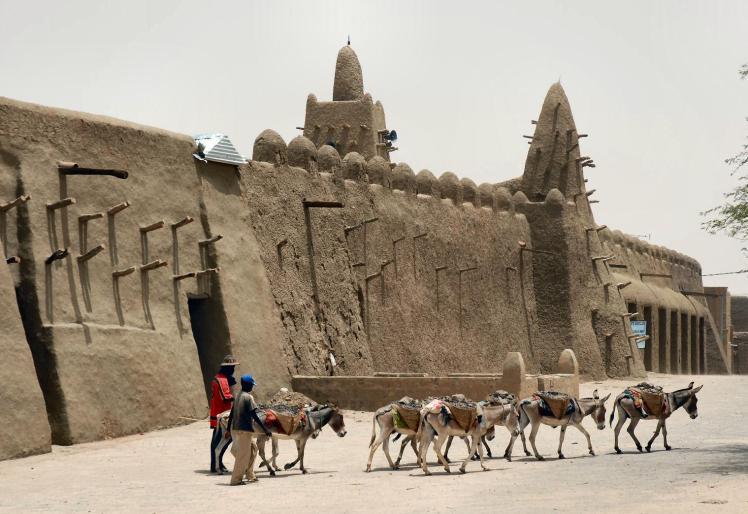 Donkeys,_Timbuktu